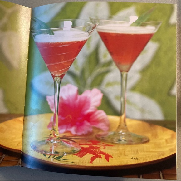 Shaken 250 Classic Cocktails Book with a Twist - Picture 12 of 16